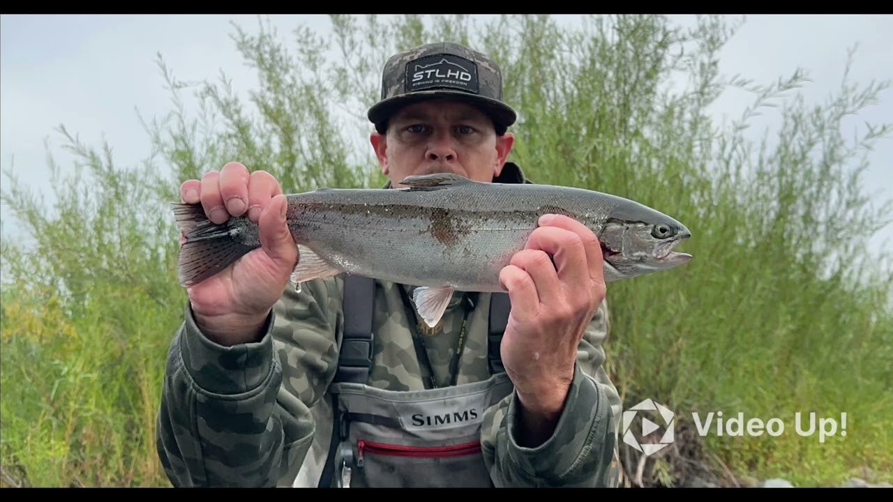 Episode 29 Steelhead fishing the American River 