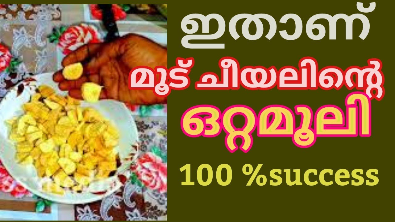 മൂട് ചീയൽ, വയറിളക്കം ഇവ കോഴികളിൽ ഇനി വരില്ല. 100% success/organic medicine in poultry