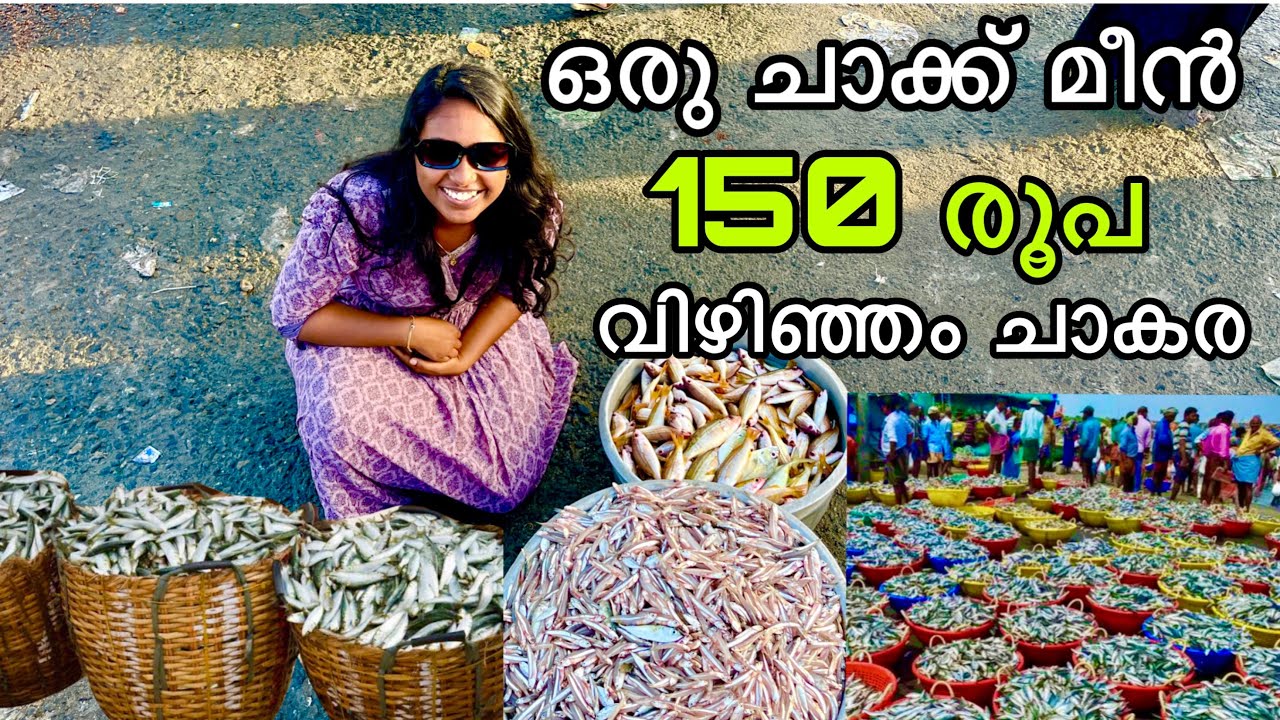 ചാകര വന്നേ ചാകര 🐟🐟 | vizhinjam harbour fish market