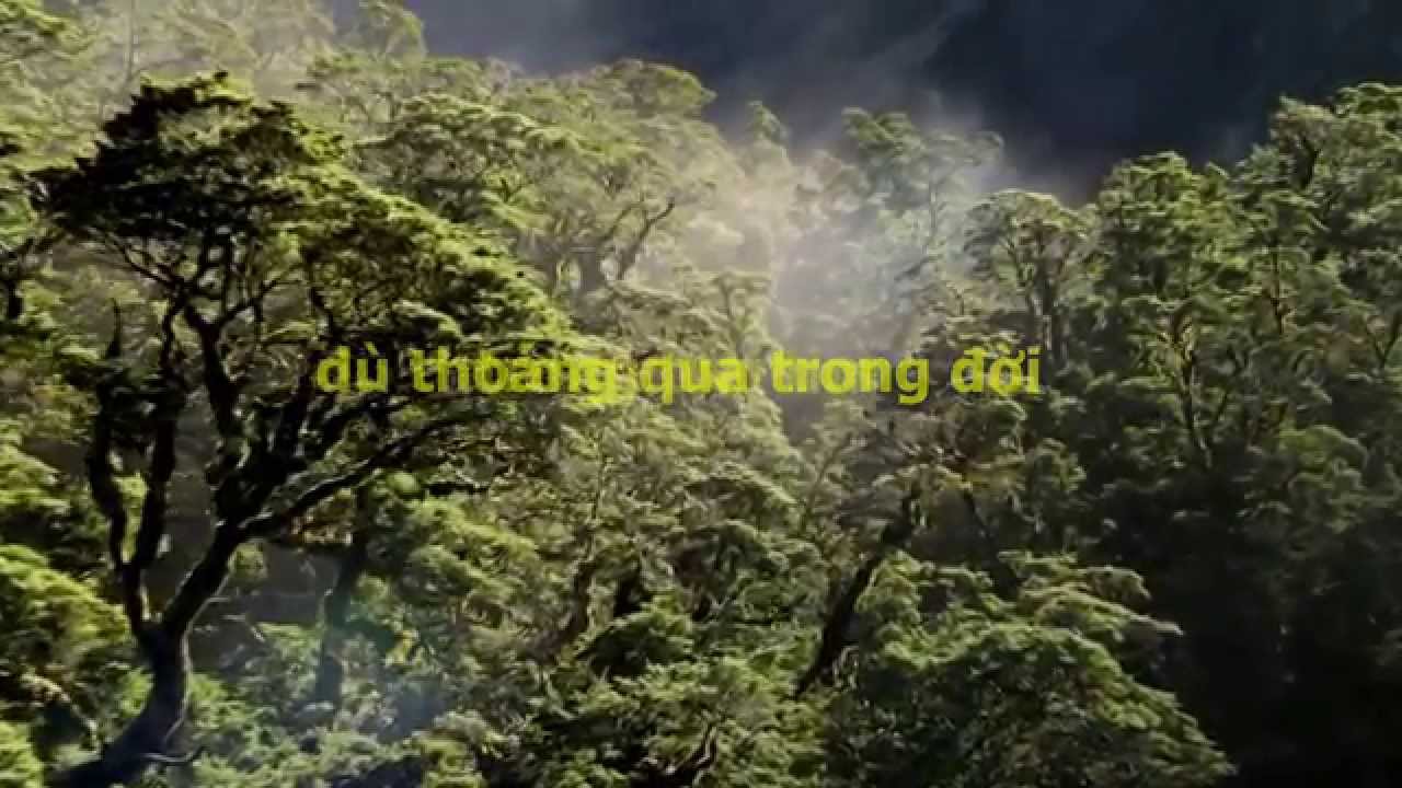 Tình Em Sống Mãi - My heart will go on - Titanic (Vietnamese Version)