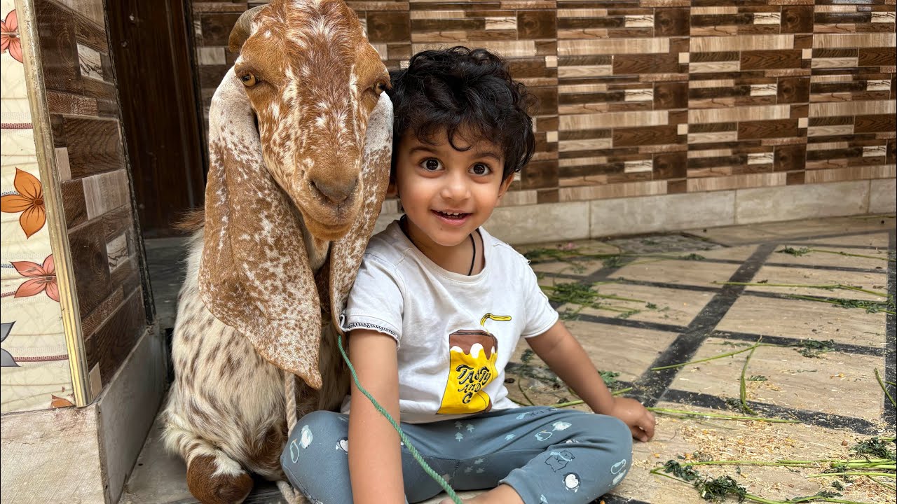 Animal of sacrifice | Masha Allah our goat | Eid ul Adha 2025 | Vlog by Maryam Umer