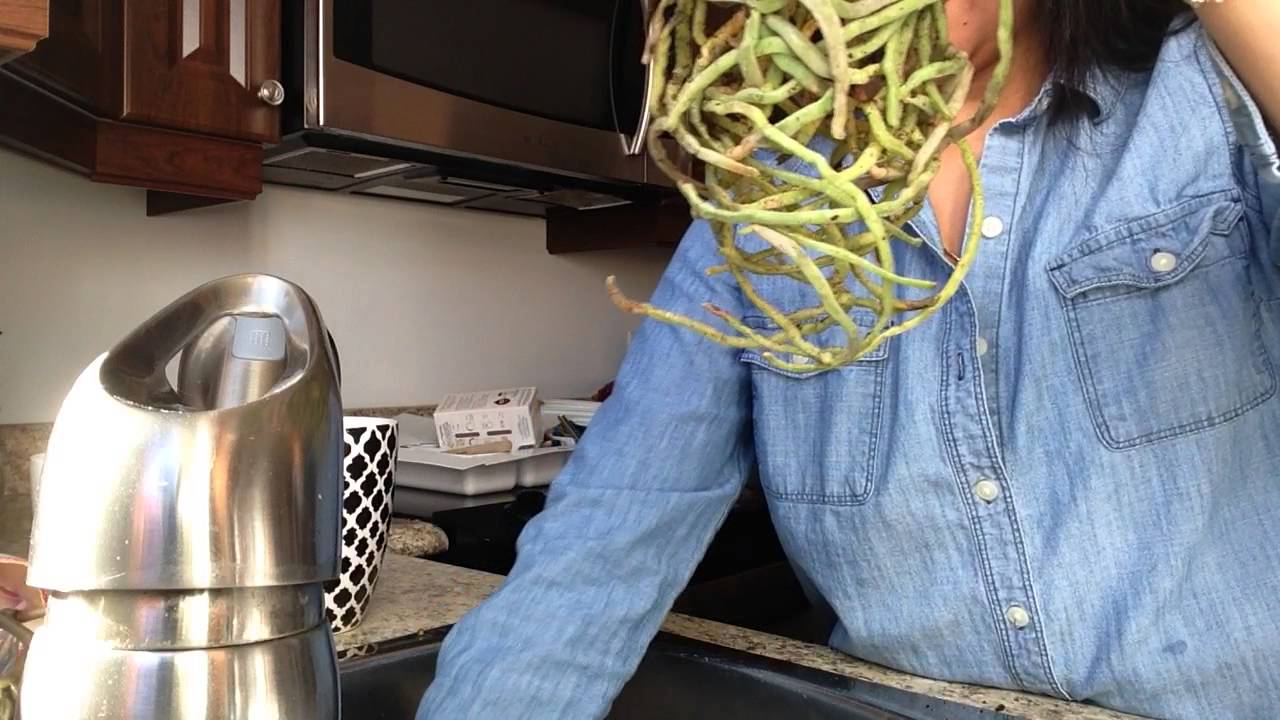 Watch me repot orchid to semi water culture!
