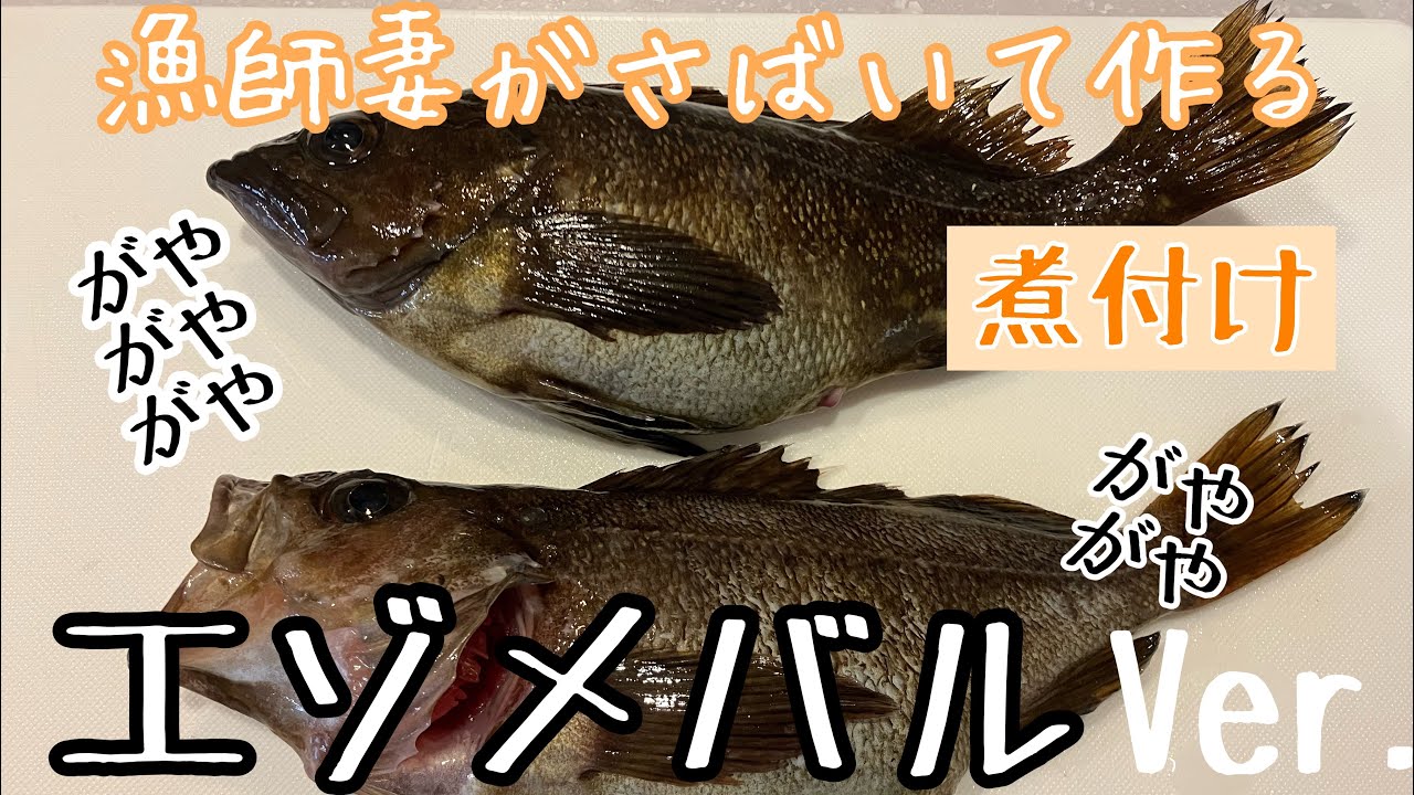 漁師妻がさばいて作る【エゾメバル】【煮付け】
