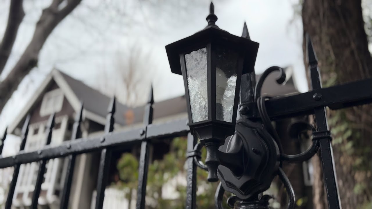 Tokyo Walk 4K | Winter Solitude: Life Among Dead Branches at Hibiya Park (No Narration)