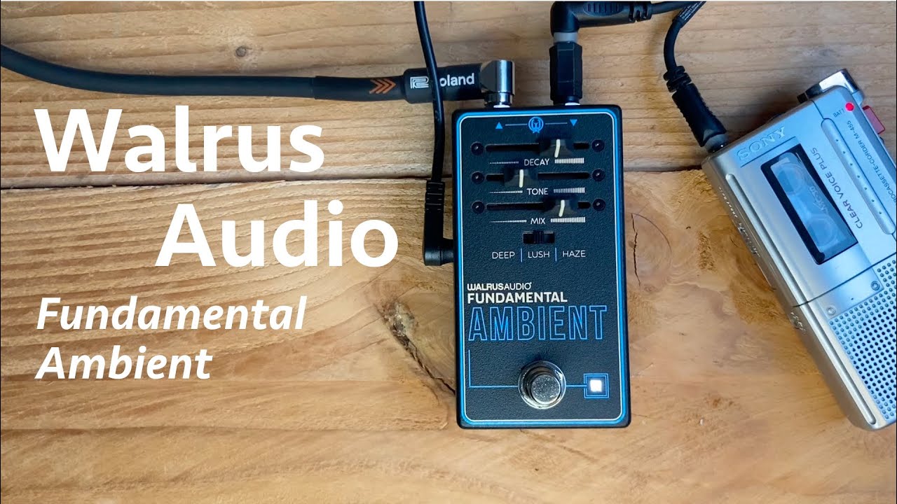 Walrus Audio Fundamental Ambient