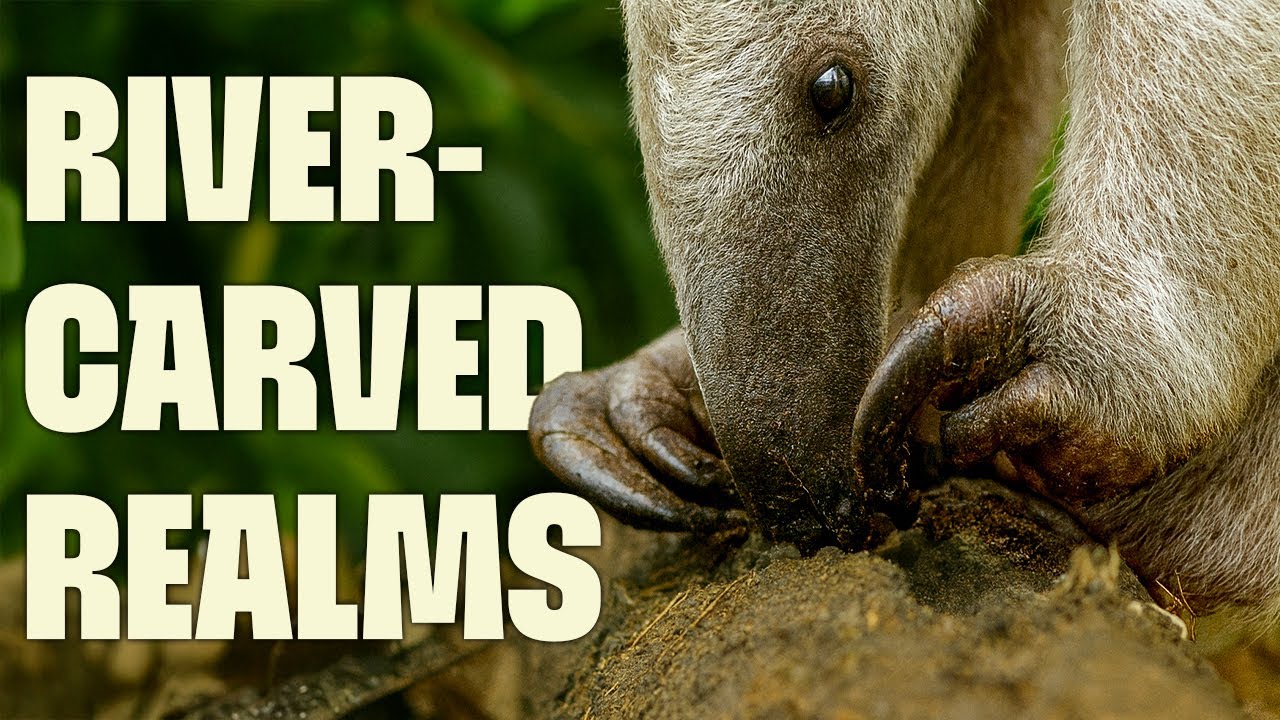 Evolutionary Eden & Heart of the Americas | FULL DOCUMENTARY | Wild Colombia | @Ultimate Nature Documentaries