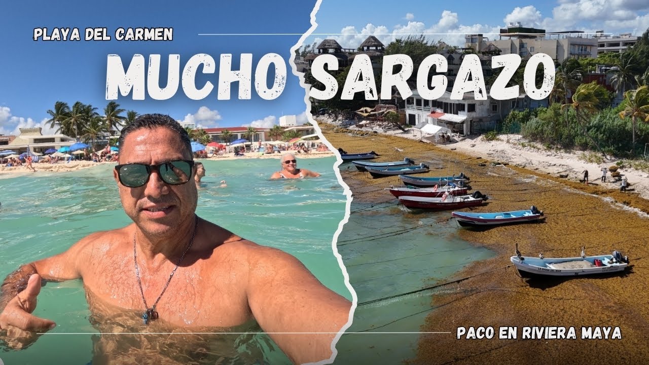 Playa Mamitas hoy 25 de enero 🌊 Mucho sargazo, mar turquesa, dron y sorpresa por la tarde