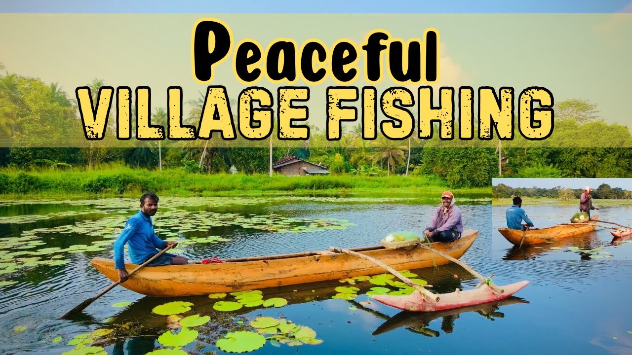 Traditional Fishing in Sri Lanka Village Lake | Peaceful Rural Life | Stunning Drone View