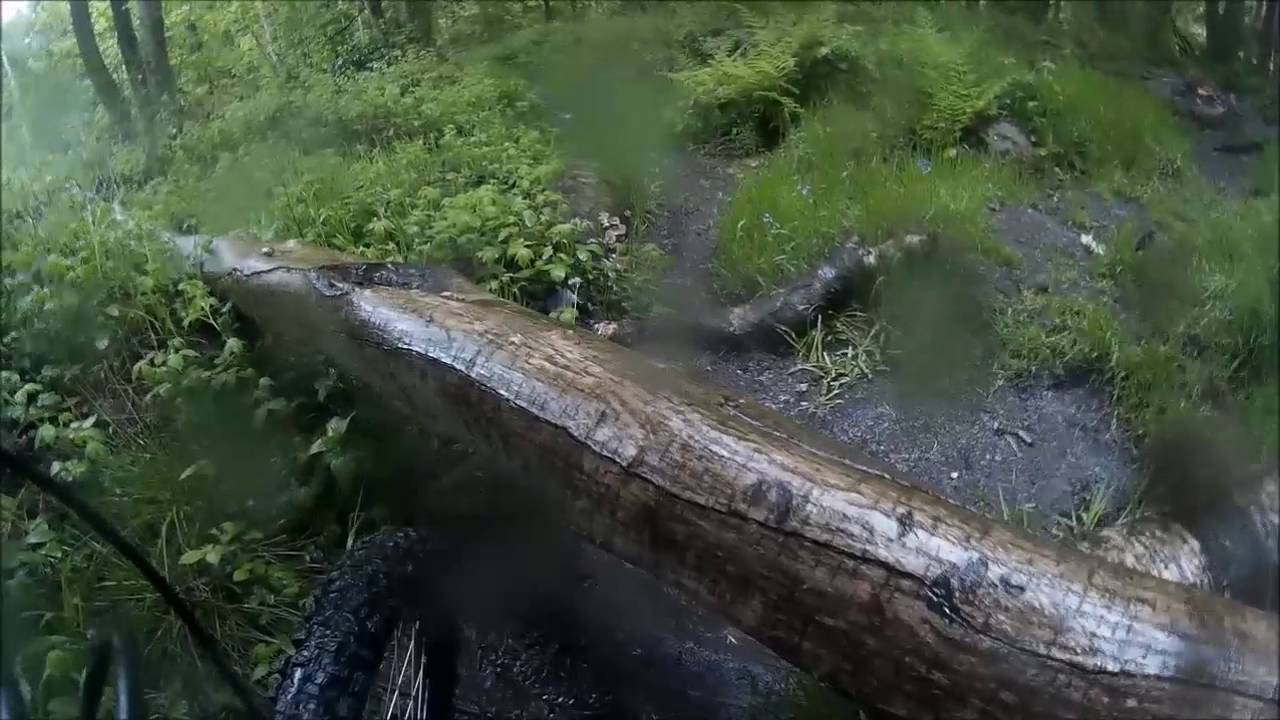 Shining cliff woods derbyshire MTB