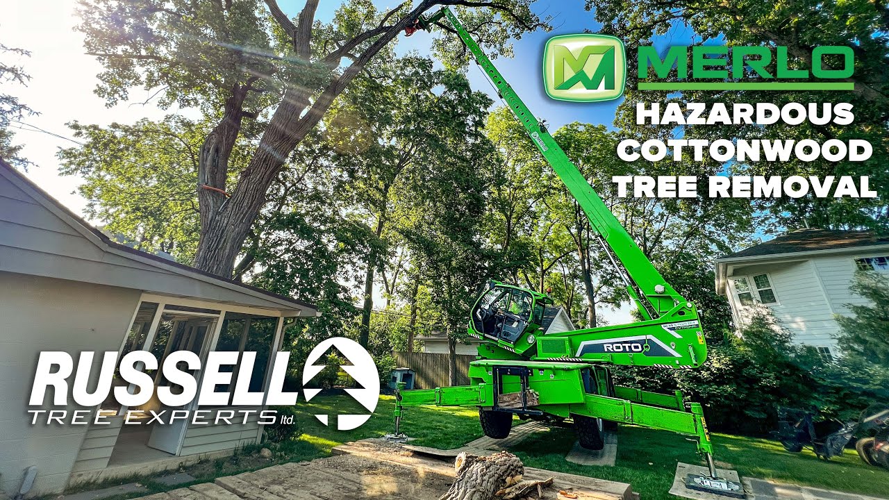 Eastern Cottonwood Tree Removal with a Merlo Roto 50.35 S Plus