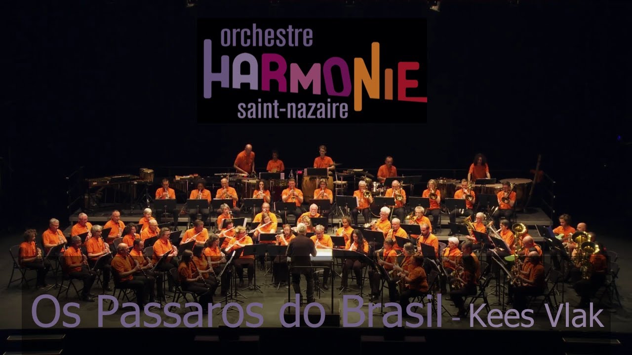 OS PASSAROS DO BRASIL -  Kees Vlak (OHSN)