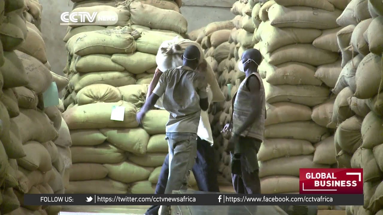 More Ugandans now using coffee