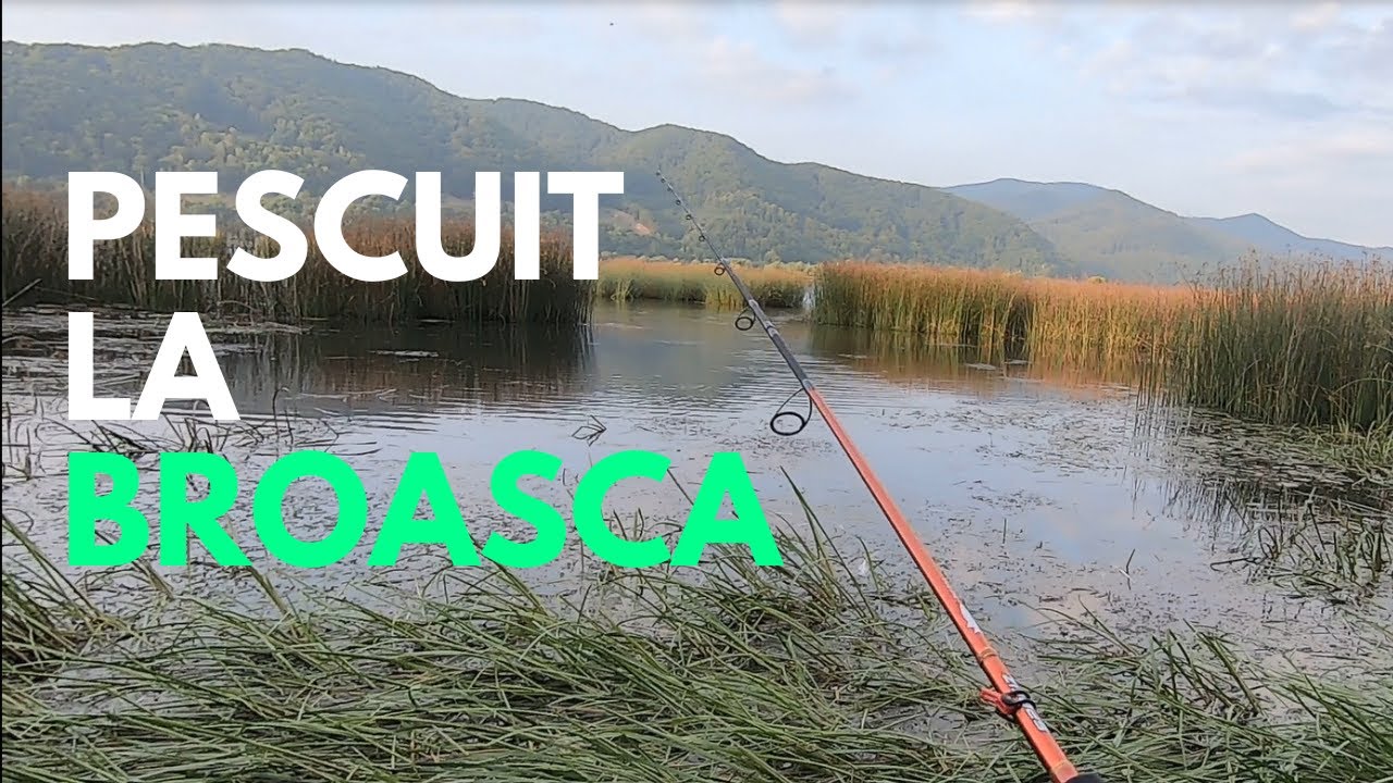 Pescuit la stiuca cu broaste/ Pike fishing with frogs