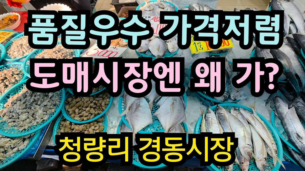 생동감이 넘치는 청량리 경동시장