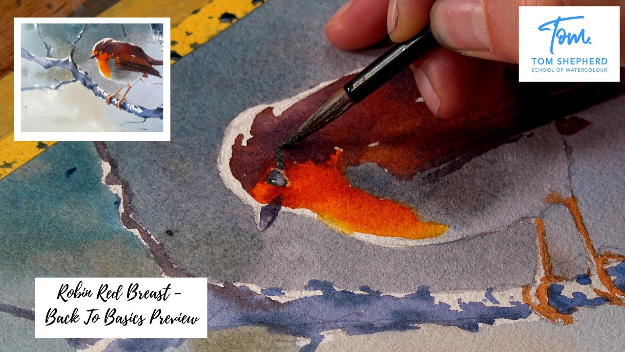 Robin Red Breast - Back To Basics - Preview with Tom Shepherd School of Watercolour