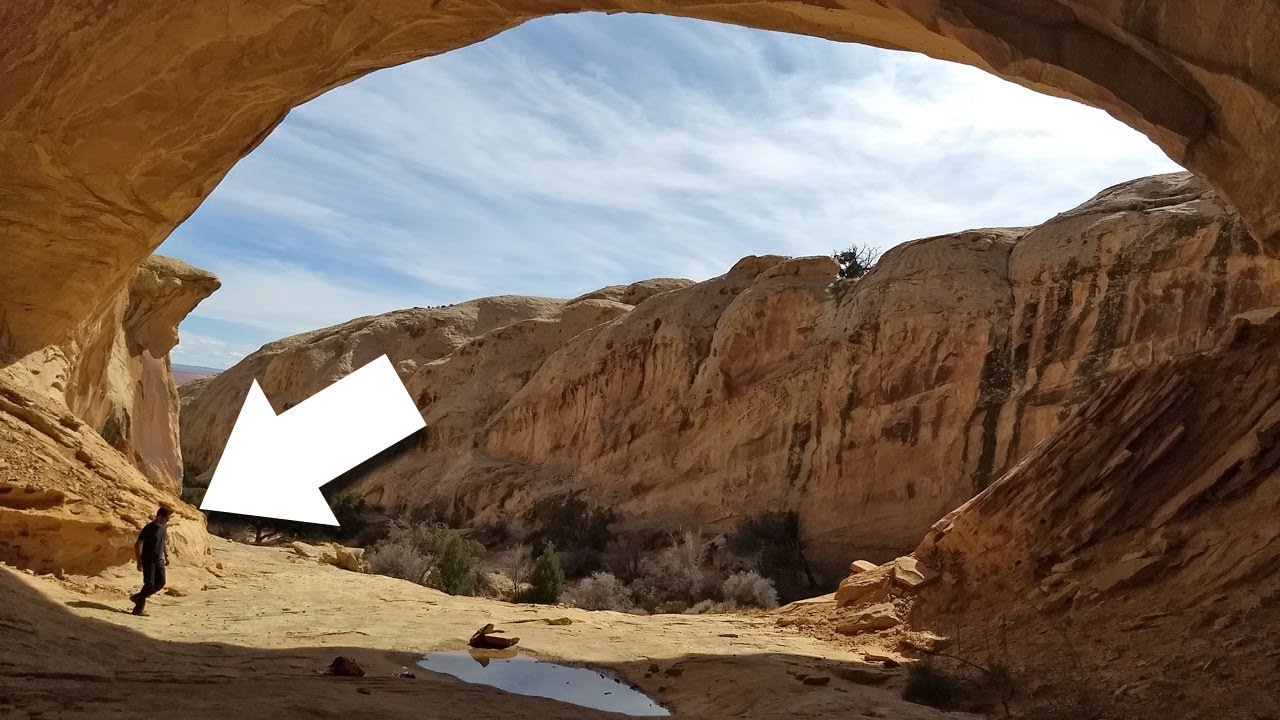 AT A LOSS FOR WORDS! (SUV Camping/Vanlife Adventures)