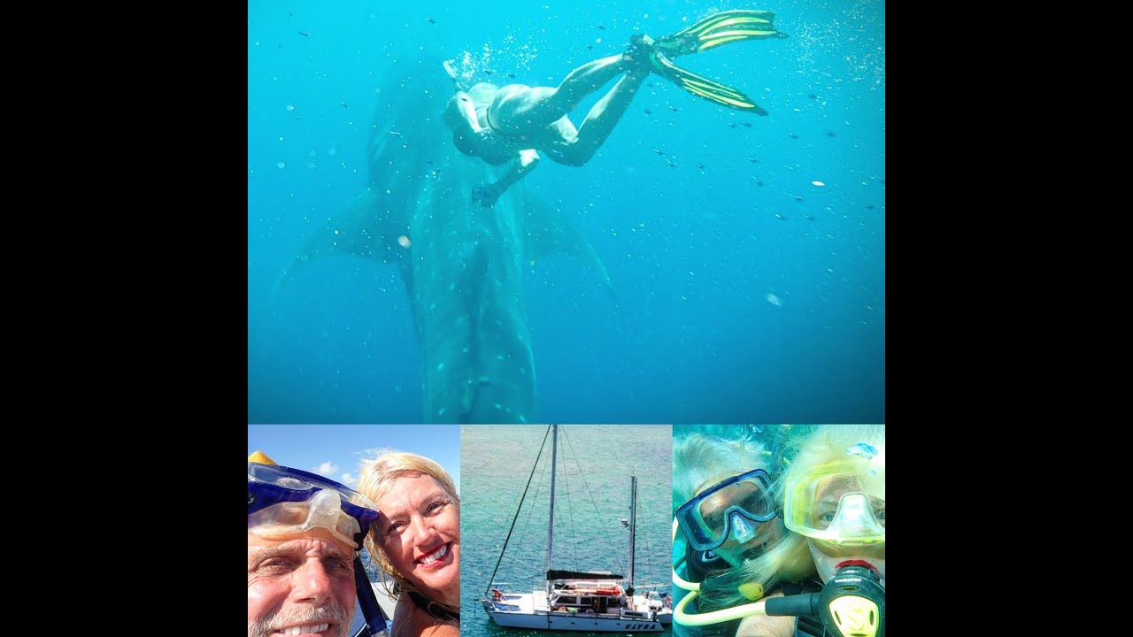 ULTRA Whale Shark Adventure Utila Island, The Bay Islands, Honduras SunBliss Utila Explore Super fun