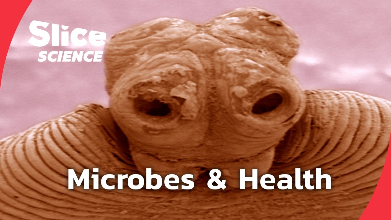 The Hidden Power of Microbes: We Are Superhuman! | SLICE SCIENCE | FULL DOC