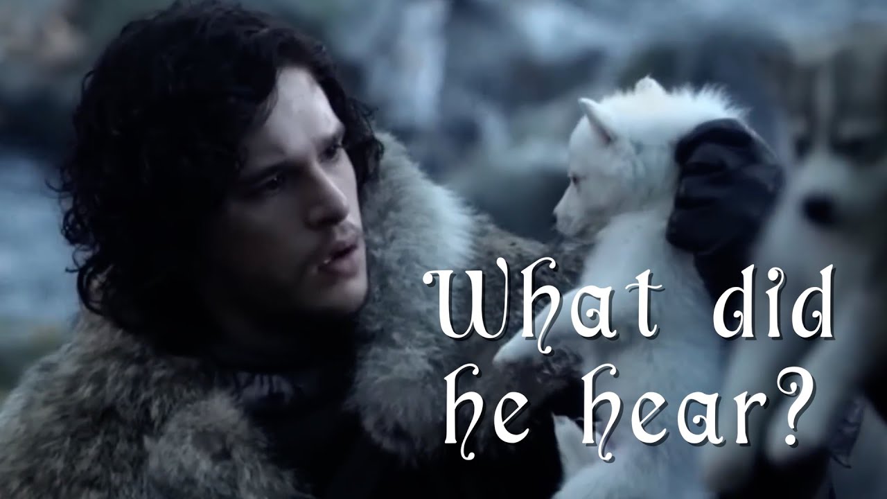 Whispers in the Wind: What did Jon hear in the trees?