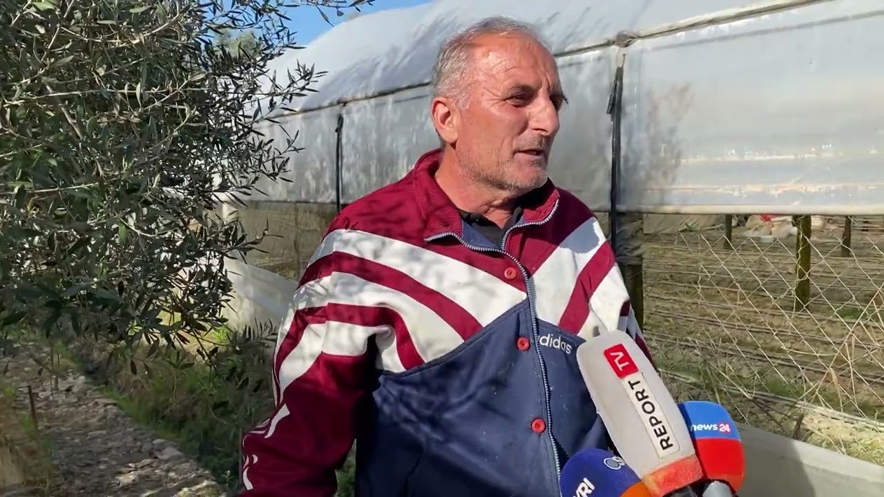 Lushnjë, serrat në Murriz-Kozare ende nën ujë.Fermerët:Për këtë sezon nuk nxjerrim dot asgjë në treg