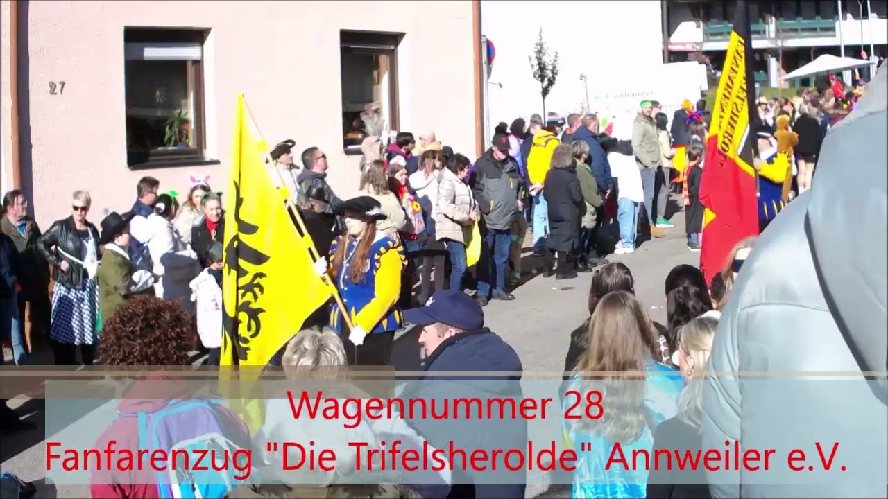 Fastnachtsumzug Dahn 2025 Teil 3 von 5