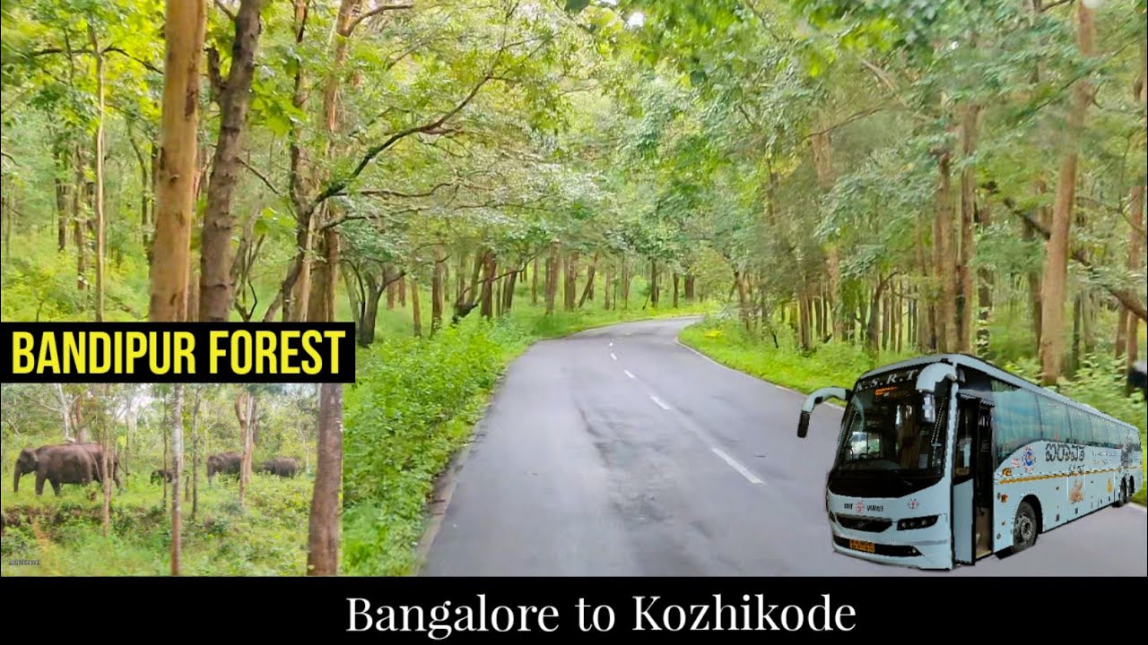 BANGALORE TO KOZHIKODE BUS JOURNEY BY KSRTC AIRAVAT B11R via BANDIPUR FOREST & THAMARASSERY CHURAM😍⛰