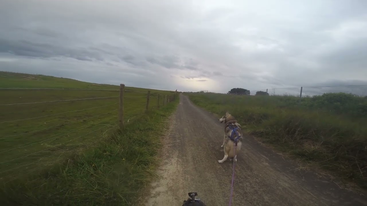 meika early summer run