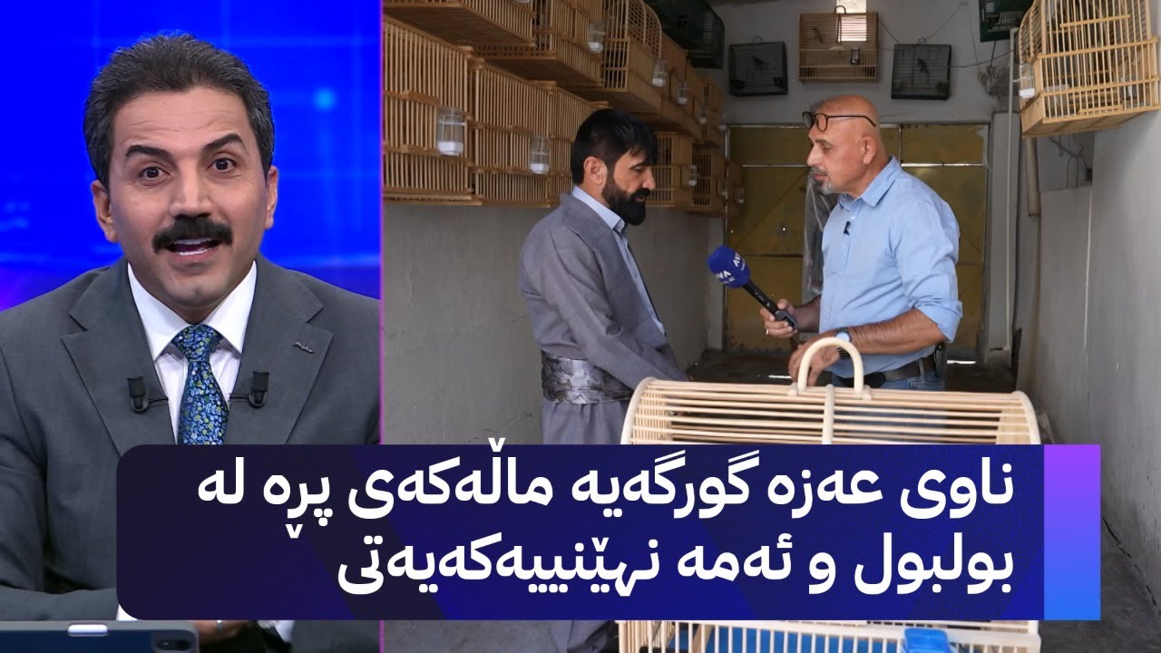 ناوی عەزە گورگەیە ماڵەکەی پڕە لە بولبول و ئەمە نهێنییەکەیەتی