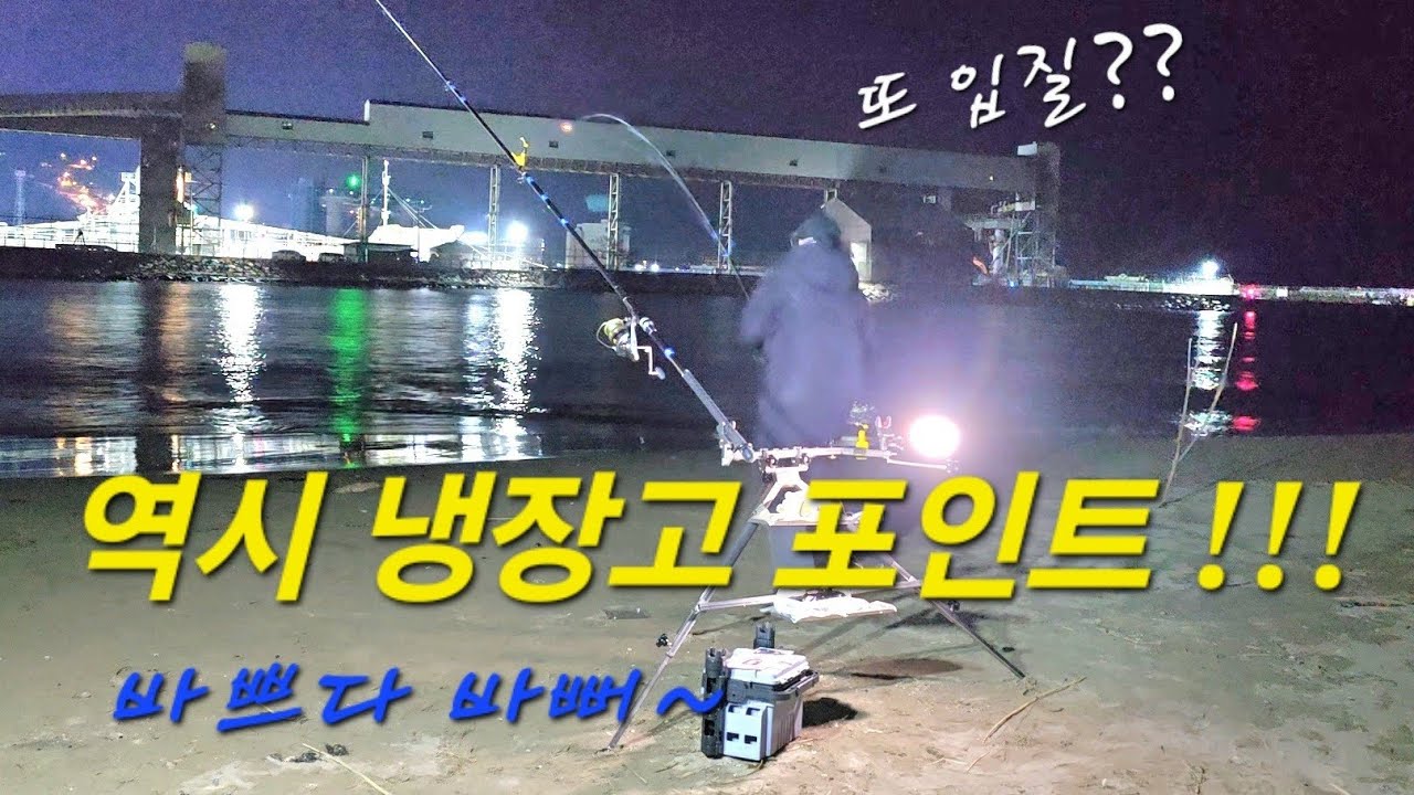 2026년 봄 #던지면 나온다 !!! 밤에도 잘나옵니다 !! 쏟아지는입질에 정신없는 냉장고포인트!!