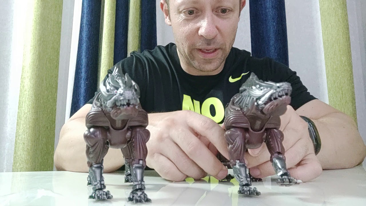 BX 01 Cerberus