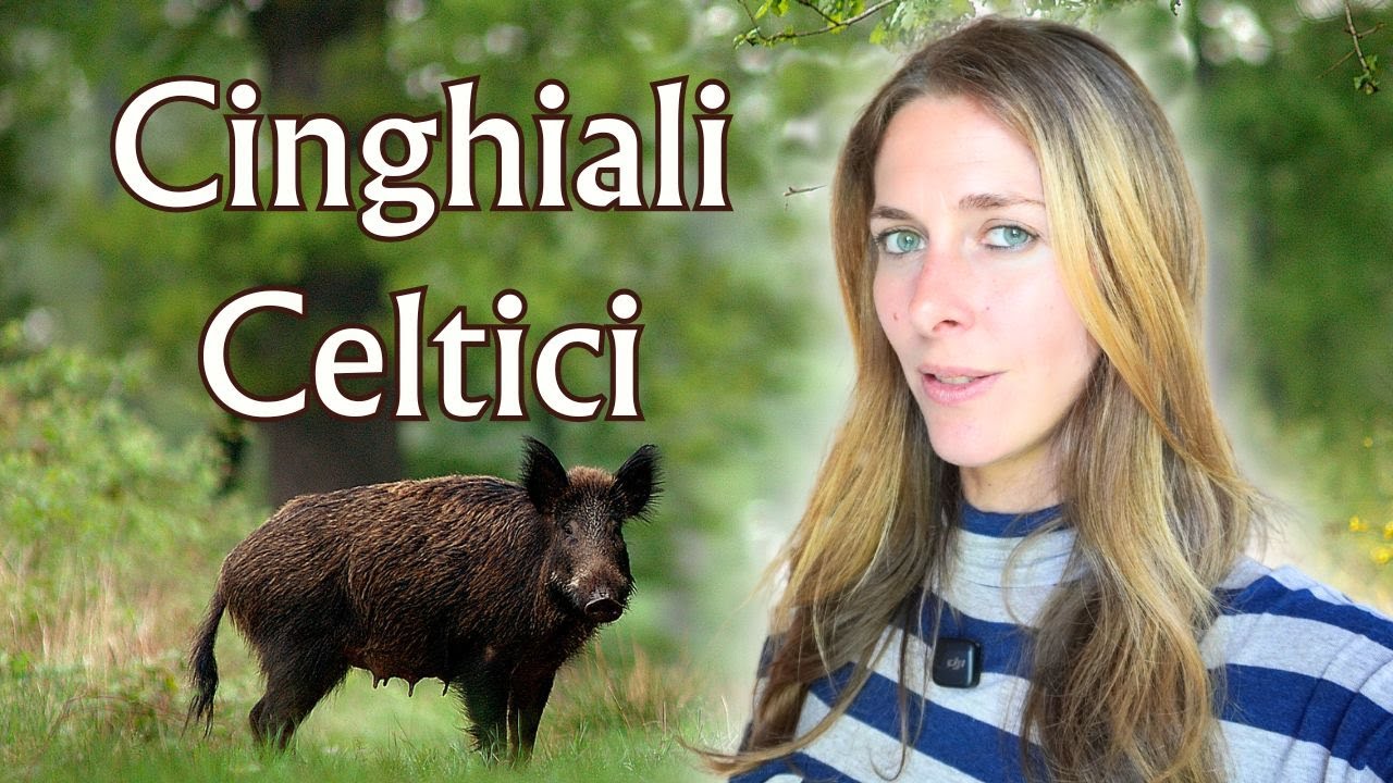 Il Cinghiale nella Cultura Celtica: Simboli, Miti e la Leggenda di Milano