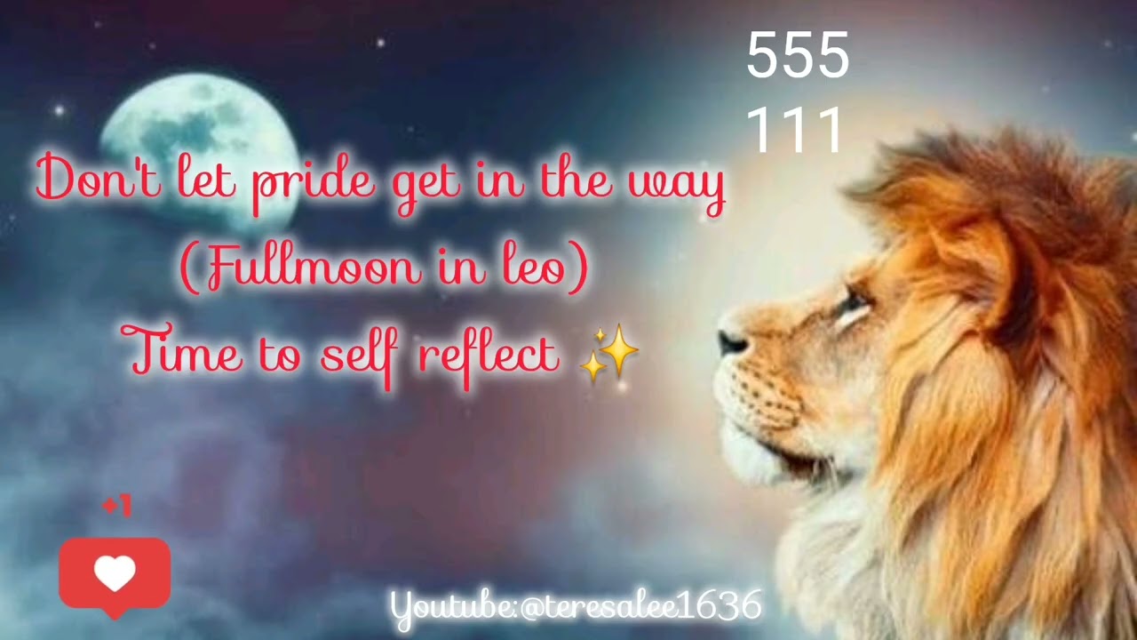 Oracle reading and self reflection 🕊