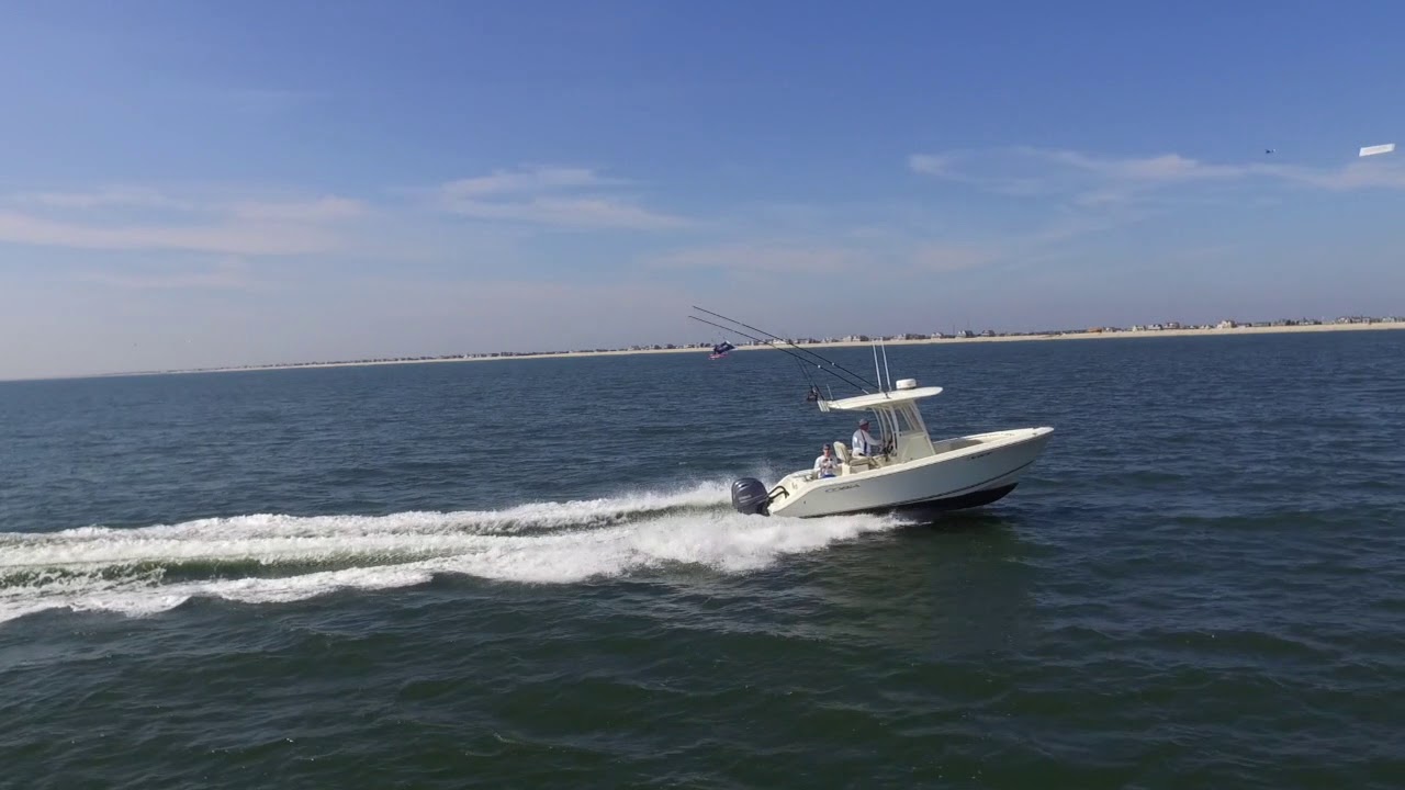 Cobia 237