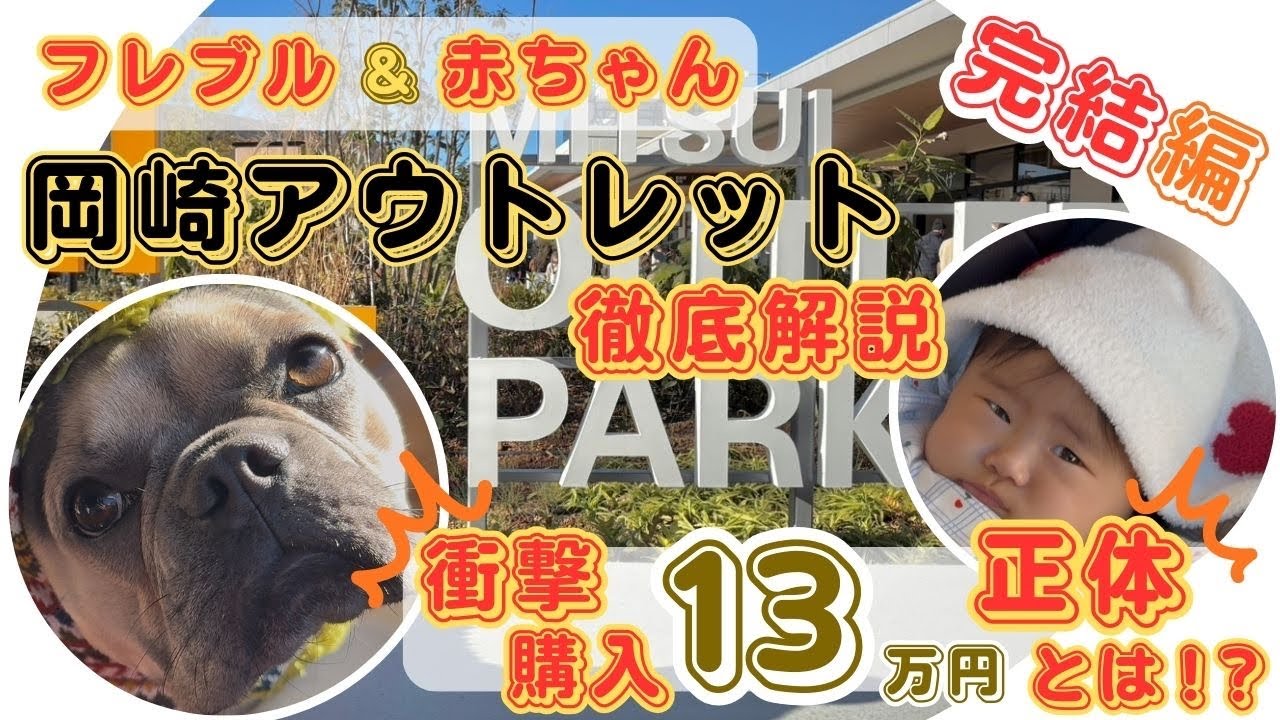 【衝撃】13万円の