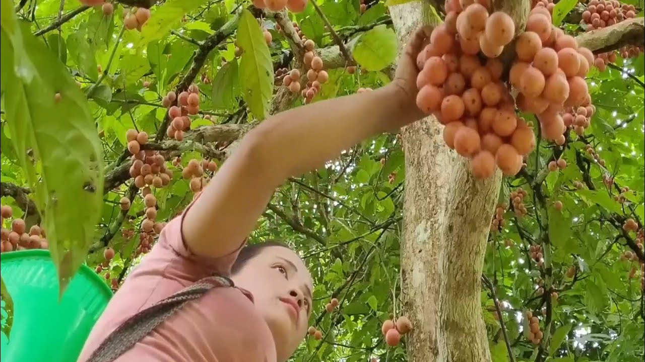 18-Year-Old Single Mother Forages in the Woods and Purchases Pork for Survival
