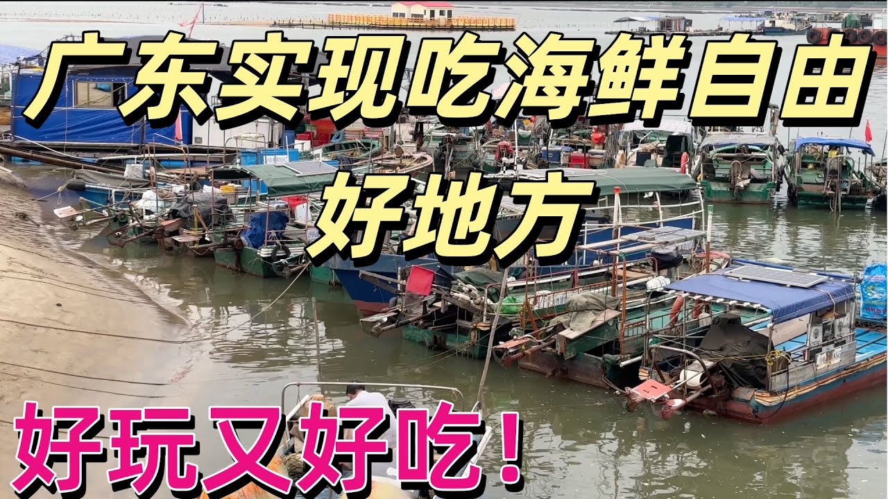 廣東吃海鮮最便宜地方！實現海鮮自由！ 25元1斤蟹！ 30元1斤蝦！我們每年都來這裡吃喝玩樂！海鮮市場・廣東旅遊・中國旅遊・海鮮・海鮮餐廳・旅遊攻略・廣東美食・中國廣東・廣東自由行攻略・seafood