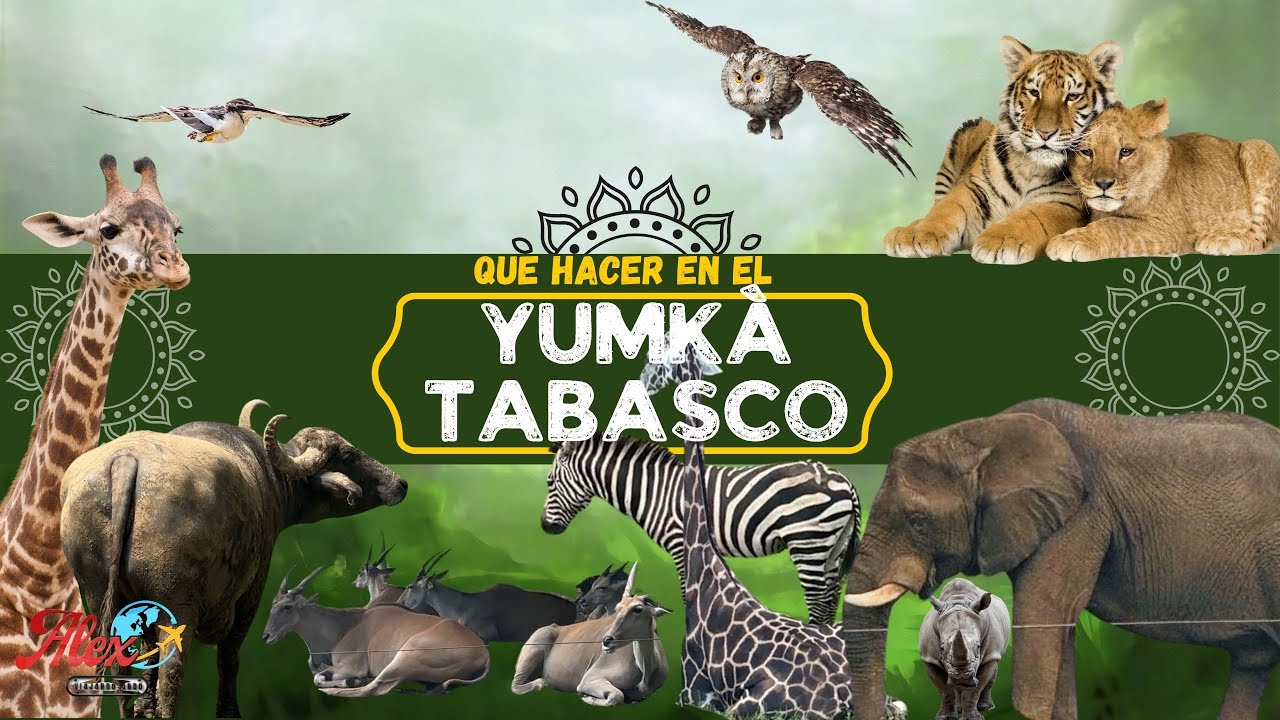 Visita el YUMKA en Villahermosa - LA MEJOR GUÍA