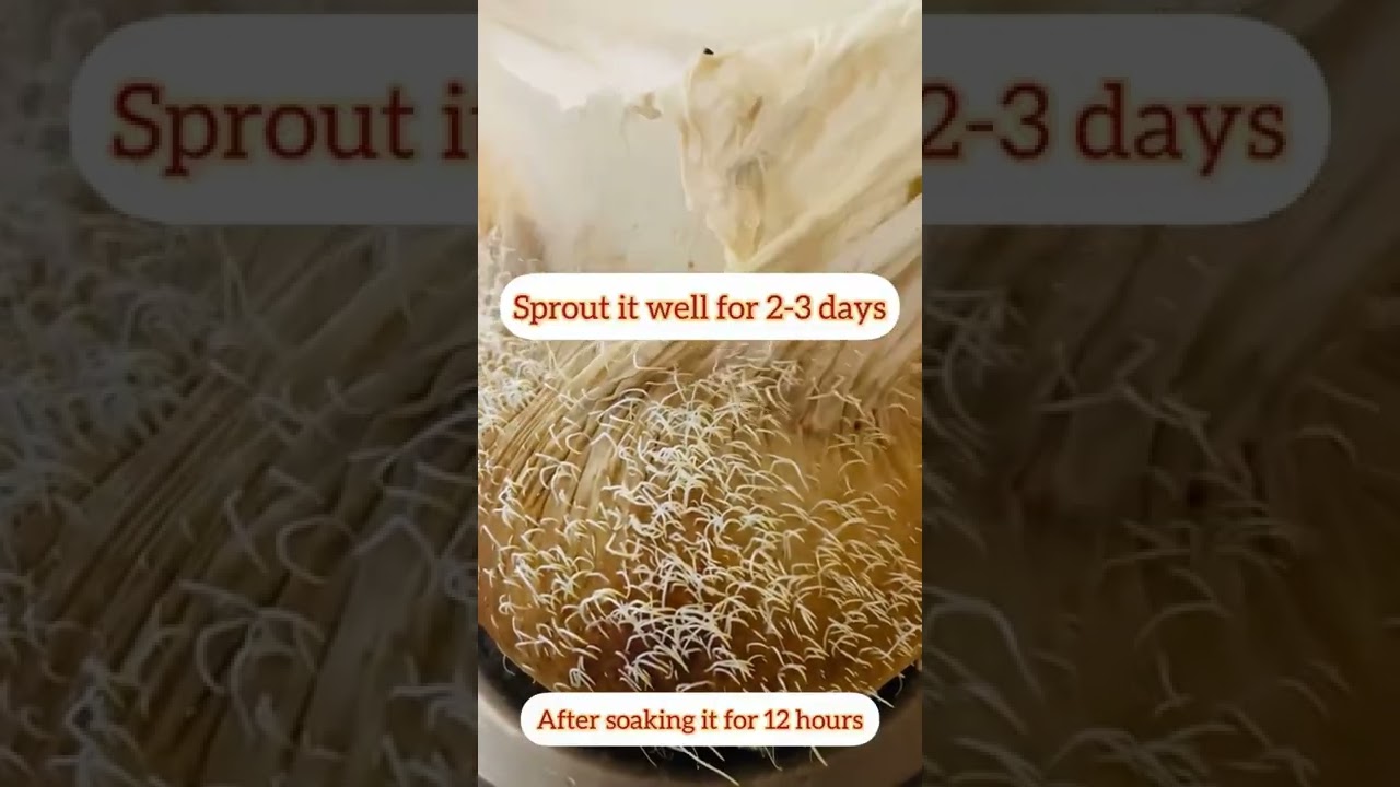 Advik&rsquo;s Sprouted Ragi Powder | முளைகட்டிய ராகி பவுடர் | link in description to purchase this product
