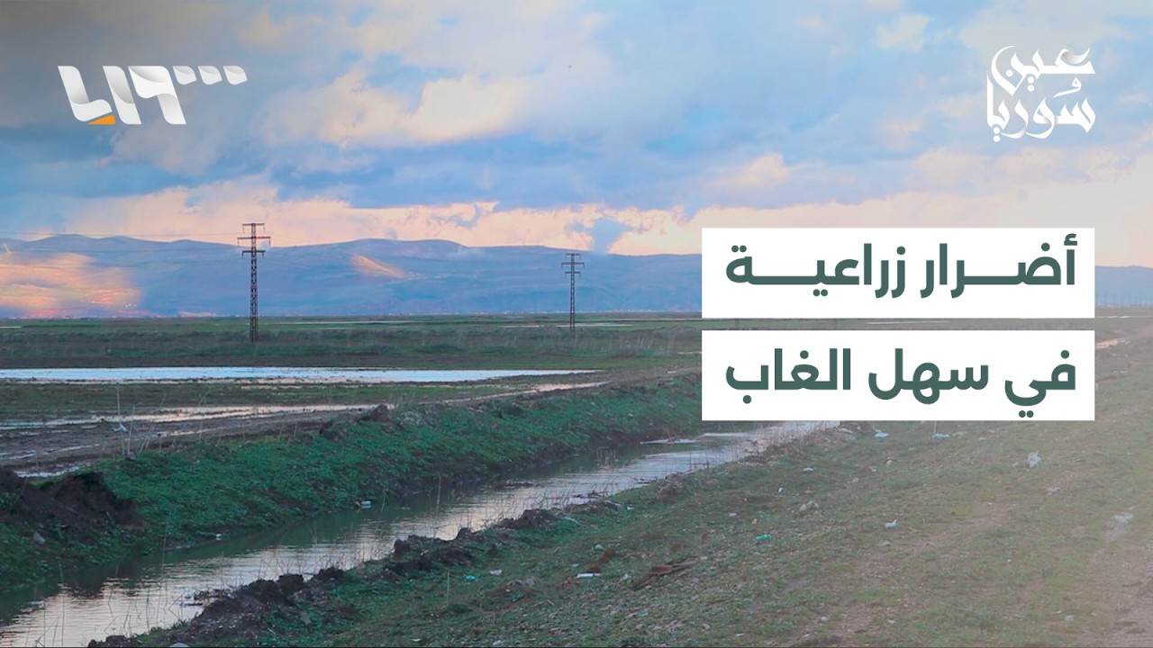 تضرر مساحات واسعة في سهل الغاب بحماة من جراء الأمطار الغزيرة