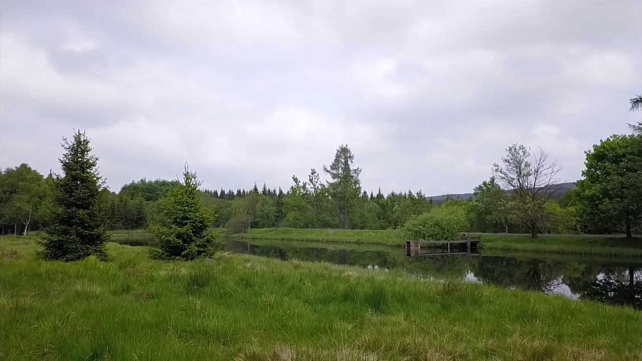 Nov&yacute; rybn&iacute;k, Svahov&aacute;, Kru&scaron;n&eacute; hory, Czech Republic