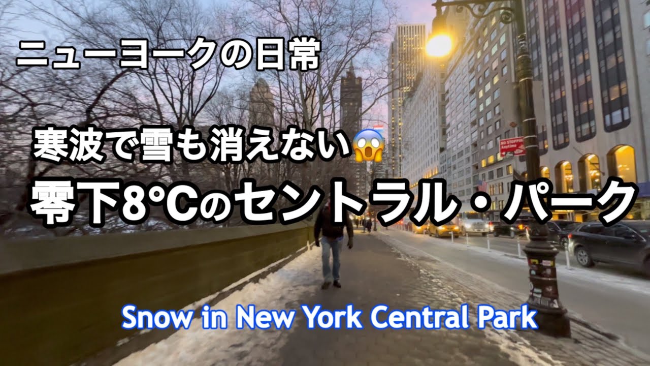 雪のセントラルパーク散策・極寒で雪景色・お散歩