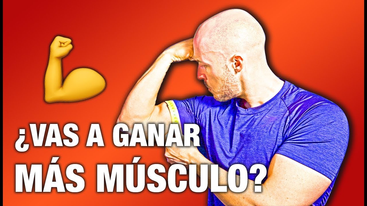 ¿Comer CADA 3 HORAS para aumentar MASA MUSCULAR? 💪 La Síntesis de PROTEÍNAS