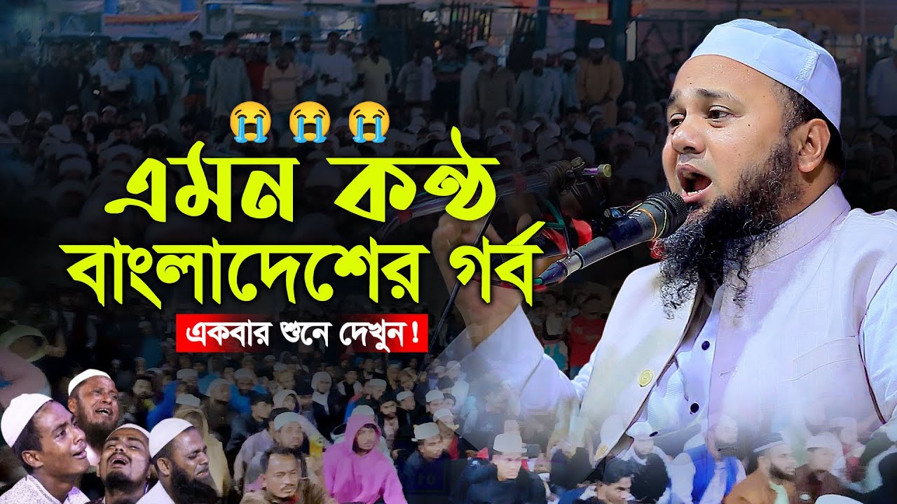 এমন কন্ঠ বাংলার গর্ব ! মুফতী দিলাওয়ার হুসাইন মাইজী, Mufti Dilawar Hossain Maizi, 01913558117