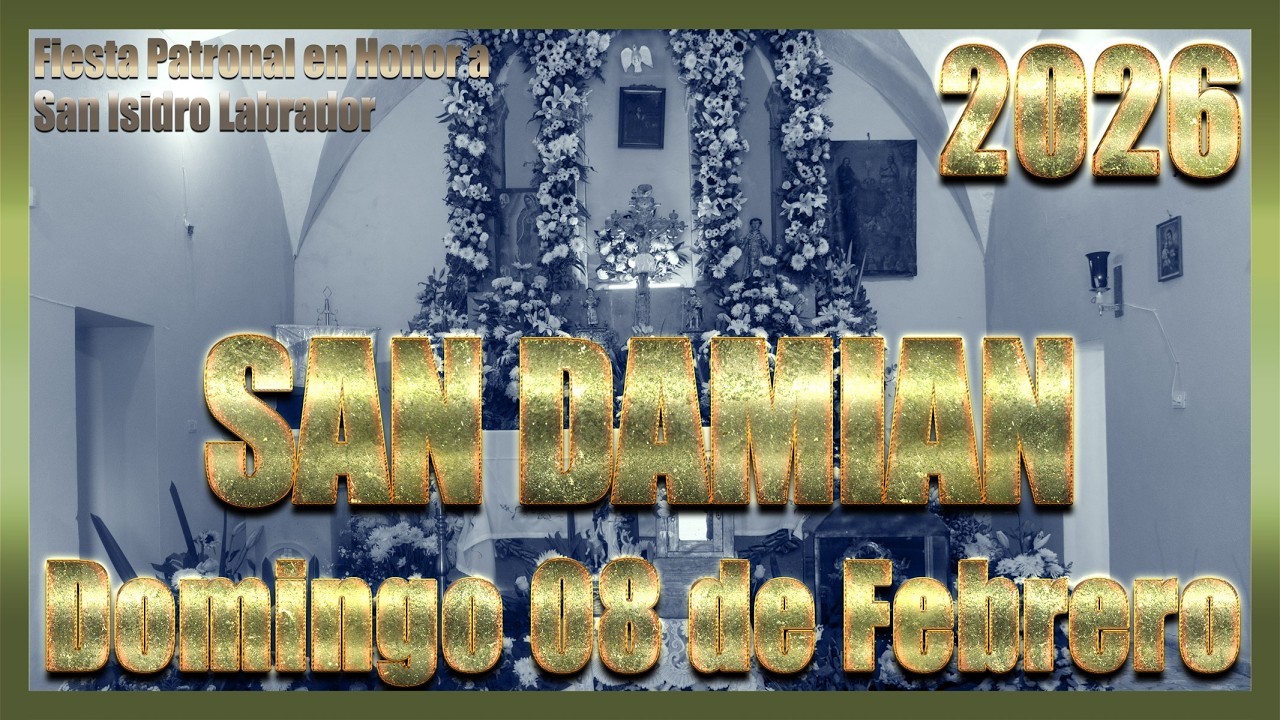 San Damián Dia 8