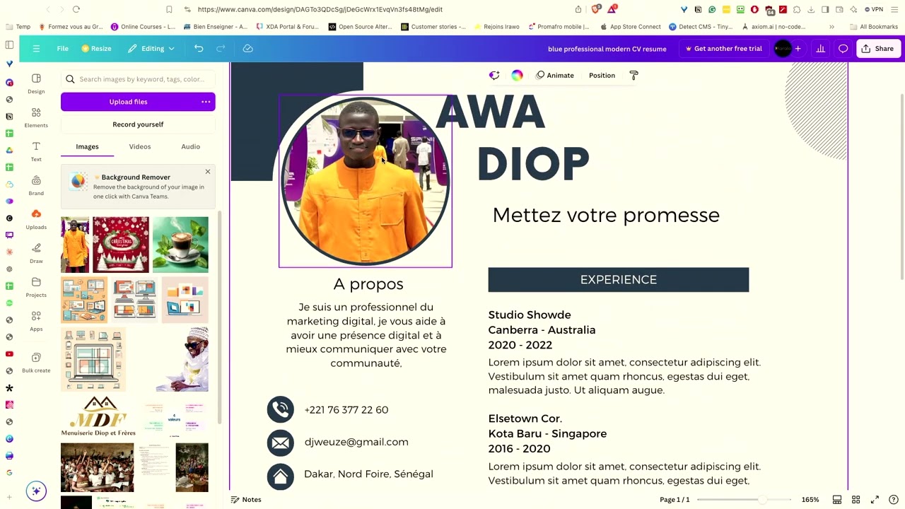 COMMENT CREER UN CV PROFESSIONNEL AVEC CANVA [100% GRATUIT]