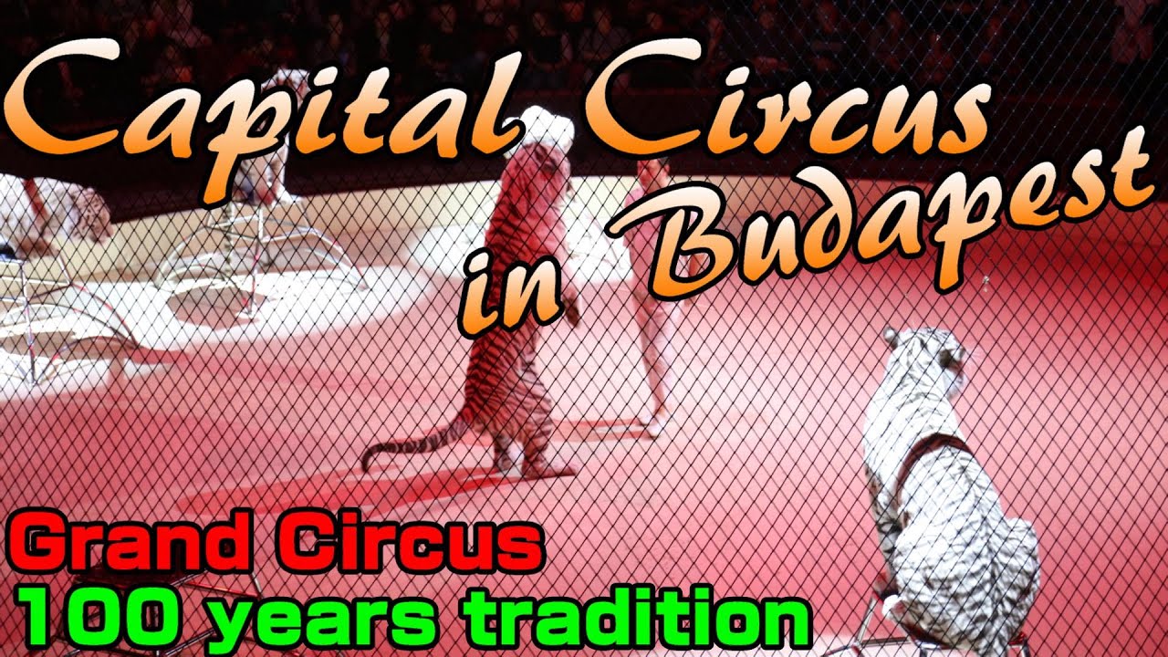 #20.0【The Capital Circus of Budapest】with a history of over 100 years
