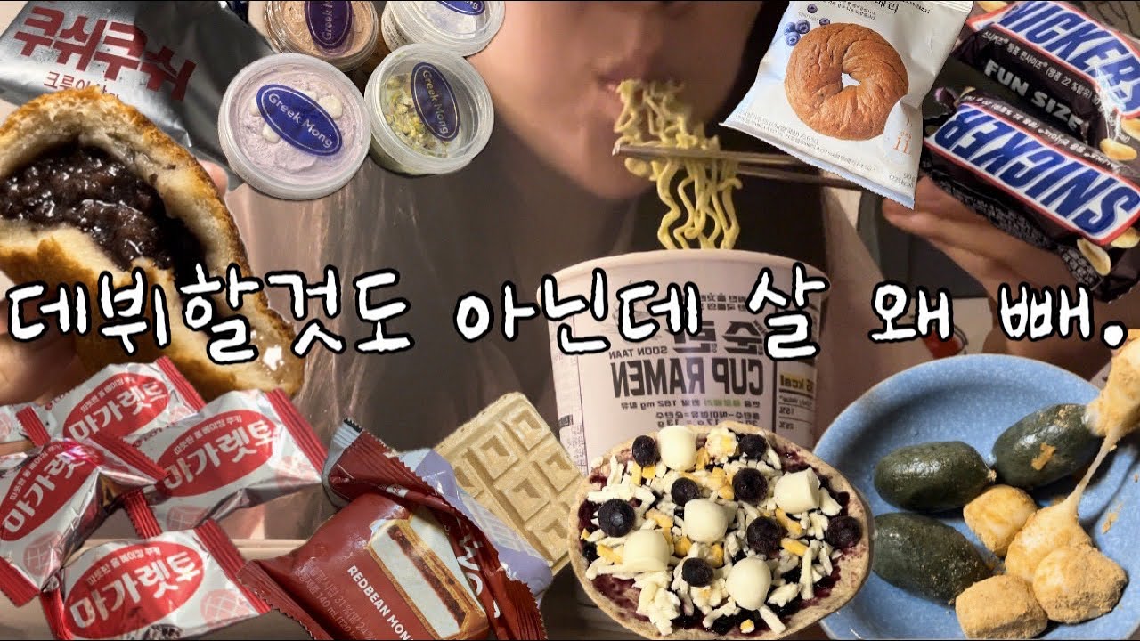 한문철도 인정할 급발진 먹방 / 데뷔할거 아닌데 걍 먹자 / 모시송편,인절미,마가렛트,단팥빵,그릭몽,쿠쉬쿠쉬,순탄라면,베이글,블루베리피자,피스타치오요거트,라라스윗,스니커즈,떡..