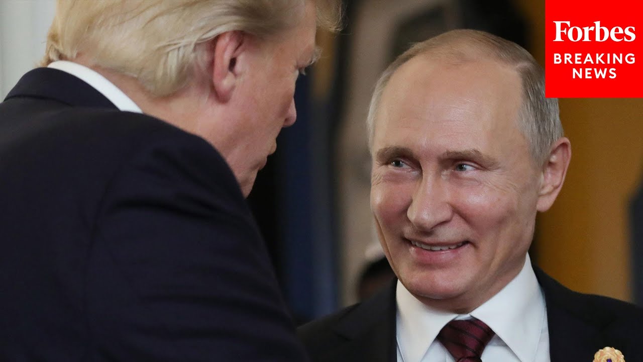 Why Did Trump Invite Vladimir Putin To His Board Of Peace? Expert Breaks It Down