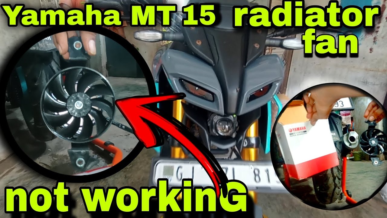Yamaha mt-15 radiator fan not working