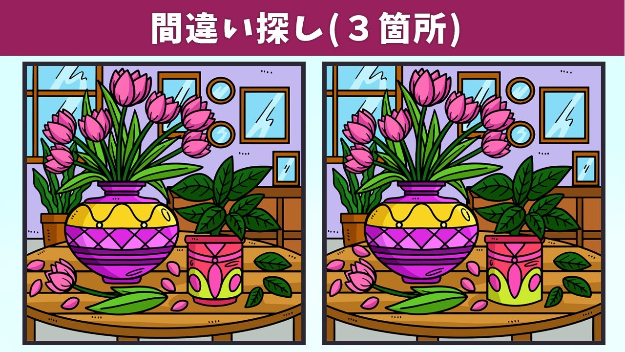 Найдите 3 отличия | Иллюстрация Версия 